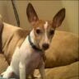 Meet your Posher, Lexi